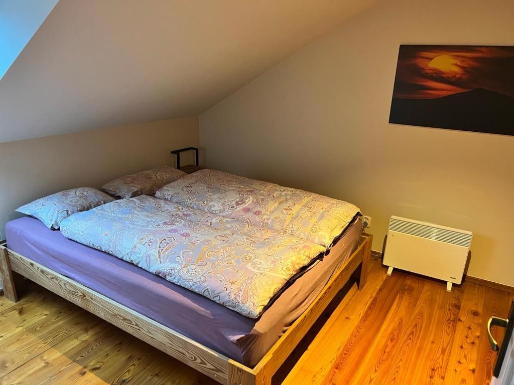 Duzy Apartament Duszniki-Zdroj Дужники Здрой Екстериор снимка